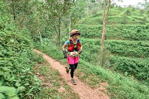 BIB: 
                            <button type="button" onclick="openModal(24878741)" class="btn btn-primary btn-sm float-right btn-popup" data-toggle="modal" data-target=".modal-high-quality">
                        <i class="fas fa-shopping-cart"></i> Add to Cart
                    </button>
                                            <button type="button" onclick="isThisMe(24878741, true)" class="btn btn-success btn-sm float-right btn-popup btn-isme hidden" data-toggle="tooltip" data-placement="bottom" title="นี่คือรูปของคุณใช่ไหม คลิกที่นี่เพื่อเอาเข้าอัลบั้ม">
                        <i class="fas fa-plus"></i> Add to album
                    </button>
                    <button type="button" onclick="isThisMe(24878741, false)" class="btn btn-warning btn-sm float-right btn-popup btn-isnotme hidden">
                        <i class="fas fa-ban"></i> Remove from album
                    </button>